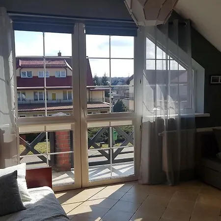 Morfeusz * Sianozety