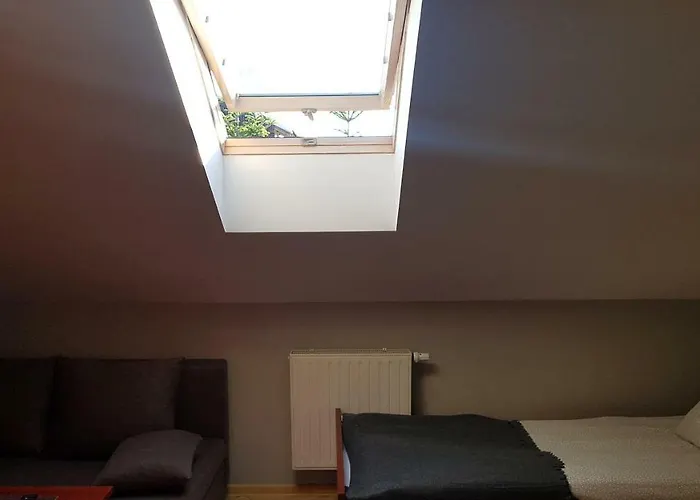 Morfeusz * Sianozety